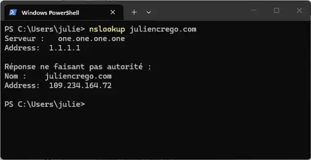 Exemple de nslookup