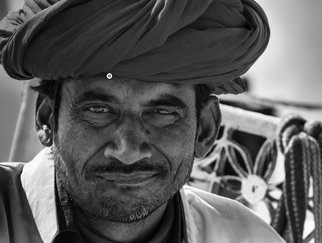 Démonstration de la sélection avec l'outil de sélection rapide