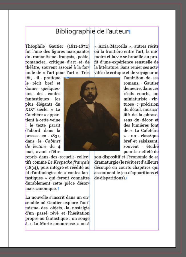 Aperçu de l'image habillée