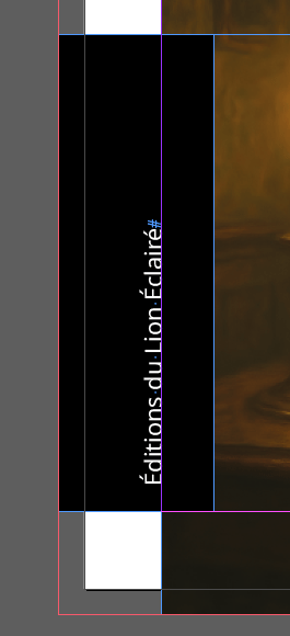 Aperçu du style éditeur corrigé