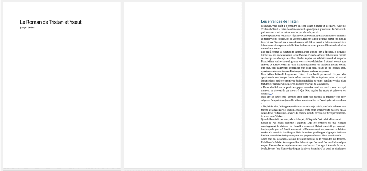 Aperçu des 3 premières pages